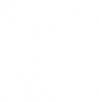 cvet_belij
